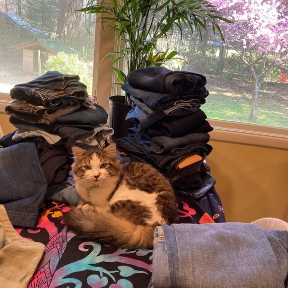 Meet your Posher, Ehrinn - Picture 6 of 6